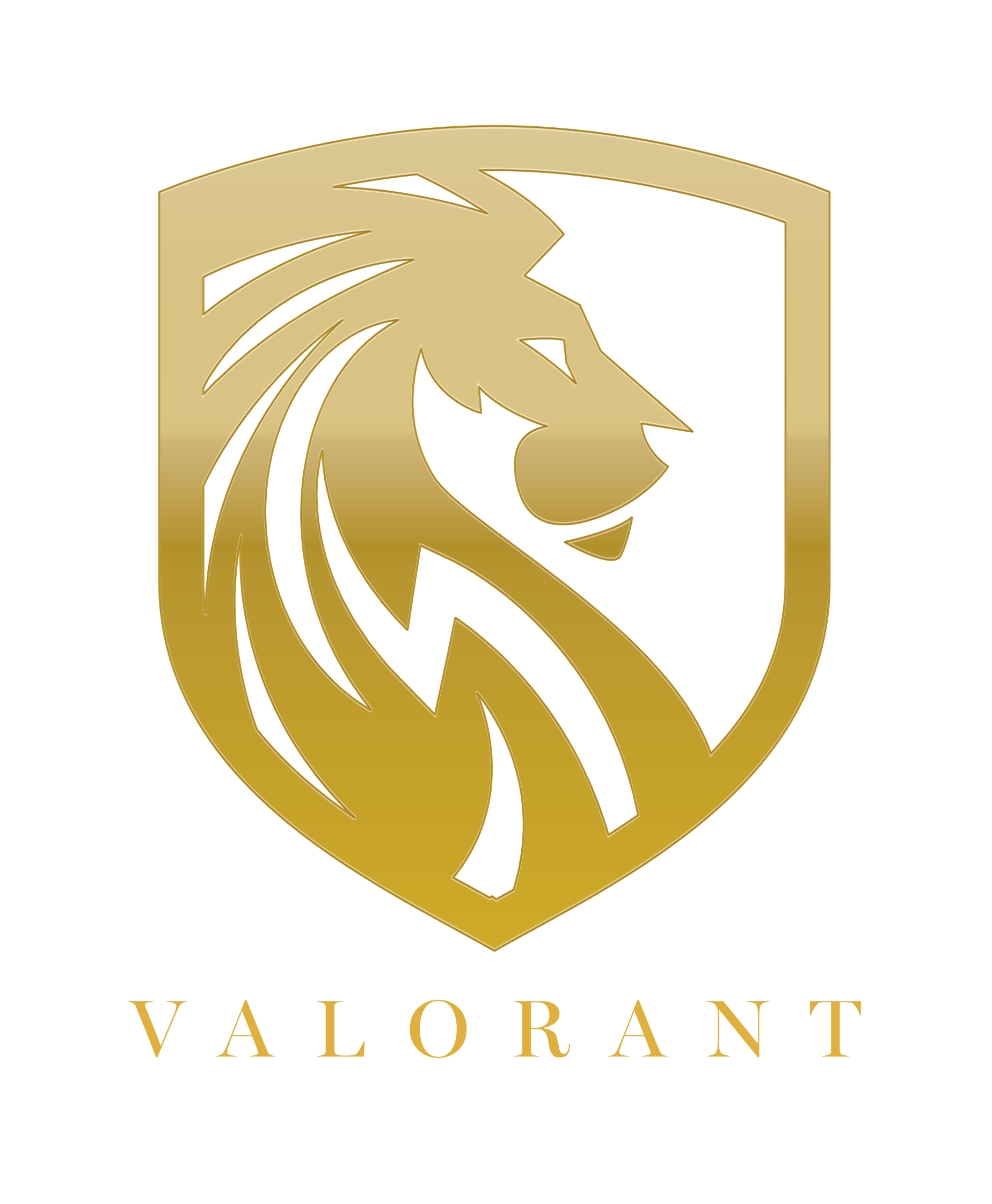 Valorant Inc